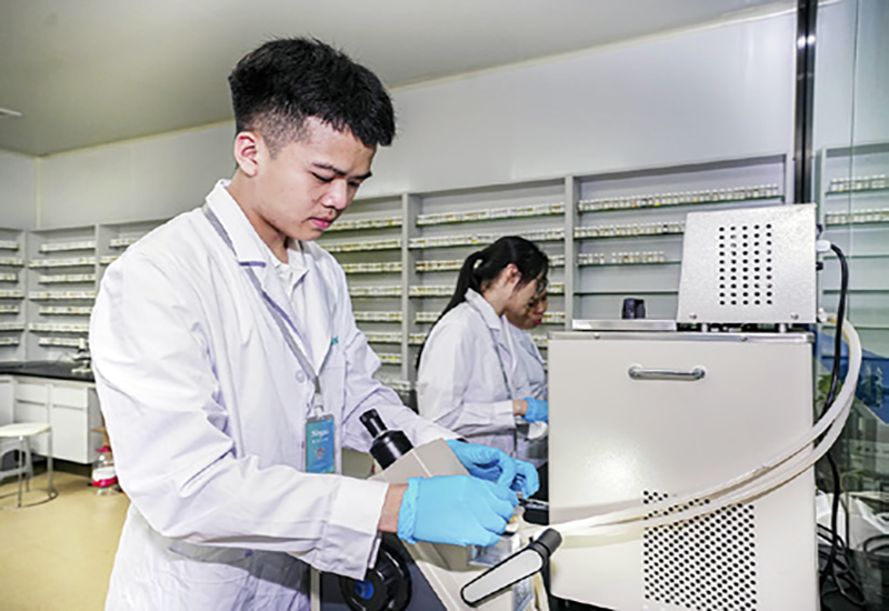 perfume oil manufacturers2