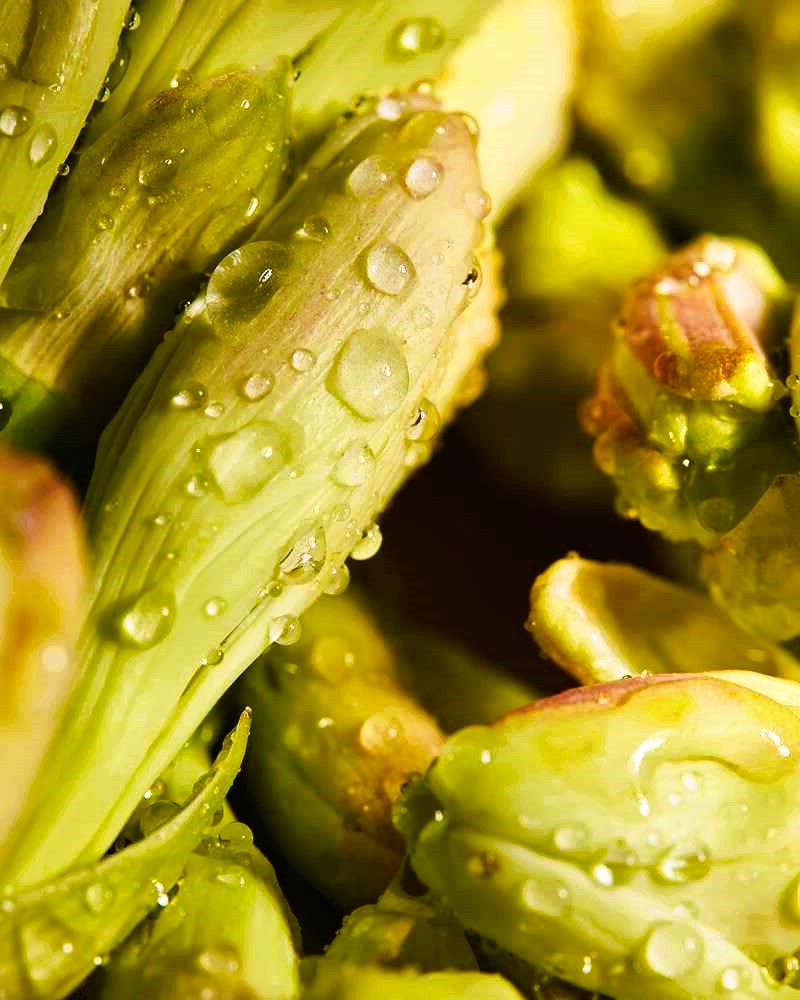 Bulk Fragrance Oils for Cosmetics Manufacturing 2
