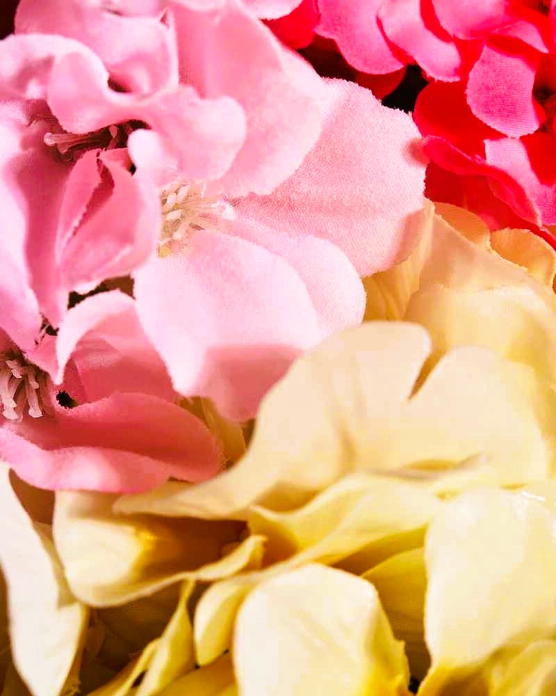 Bulk Fragrance Oils for Cosmetics Manufacturing 4