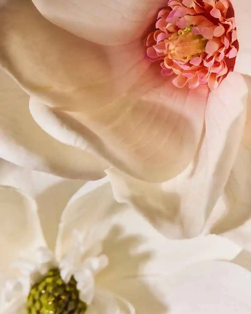 Custom Fragrance Oils for Customized Packaging 4
