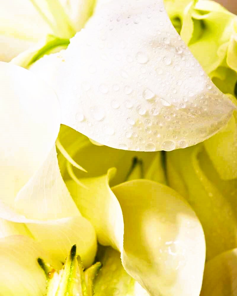 Custom Fragrance Oils for Giftware 3 2