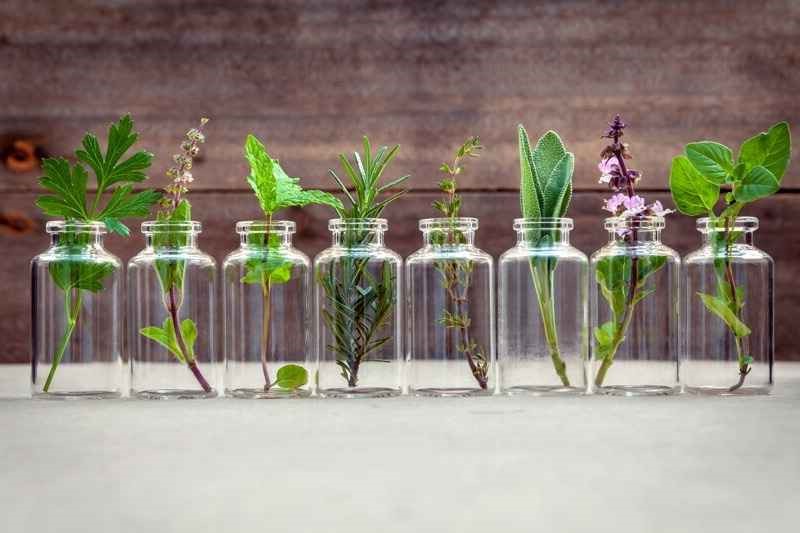 Comment les huiles de parfum peuvent transformer les produits de nettoyage domestiques 4 Comment les huiles de parfum peuvent transformer les produits de nettoyage domestiques 5