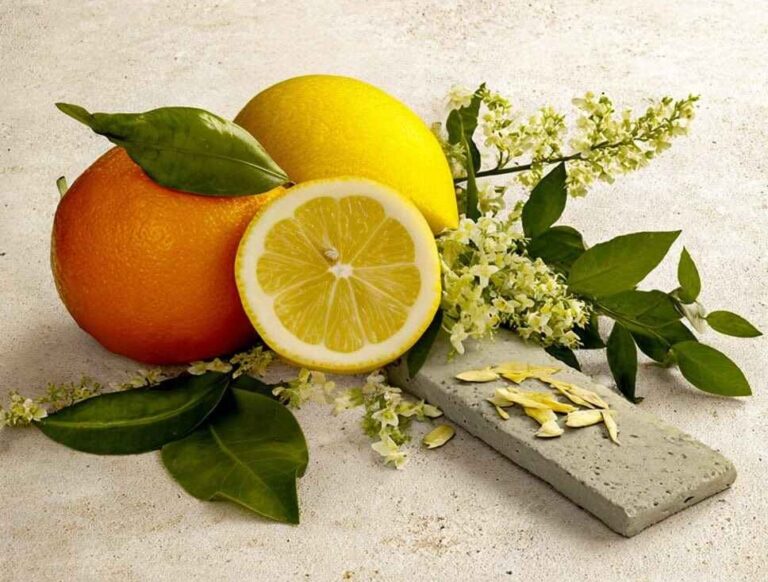 How to Use Fragrance Oils to Enhance Food Packaging and Brand Identity 6 How to Use Fragrance Oils to Enhance Food Packaging and Brand Identity 1