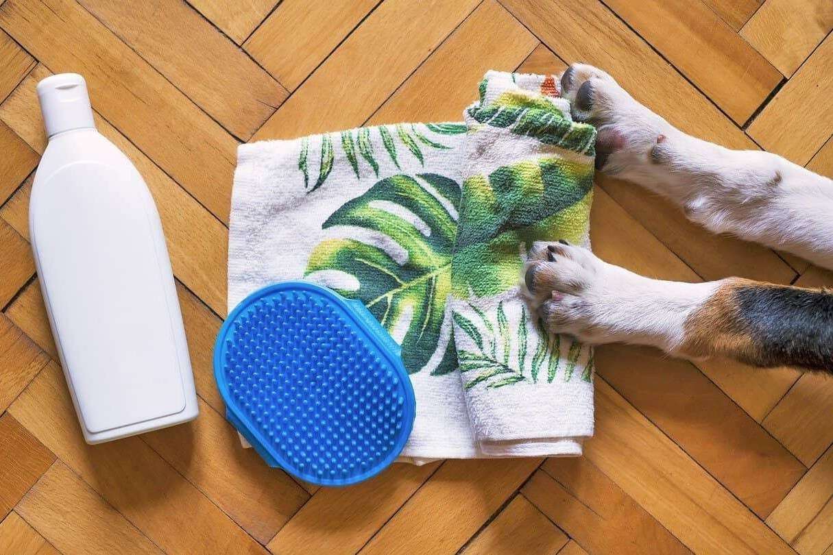 Customizing Air Care Products for Pet Care and Home Use 2 Customizing Air Care Products for Pet Care and Home Use 1