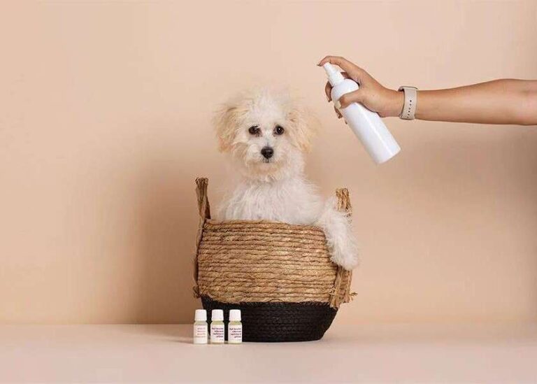 Customizing Air Care Products for Pet Care and Home Use 6 Customizing Air Care Products for Pet Care and Home Use 2