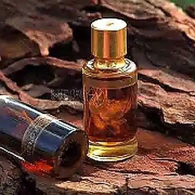 Oud Leather Extrait Base (2) Oud Leather Extrait Base