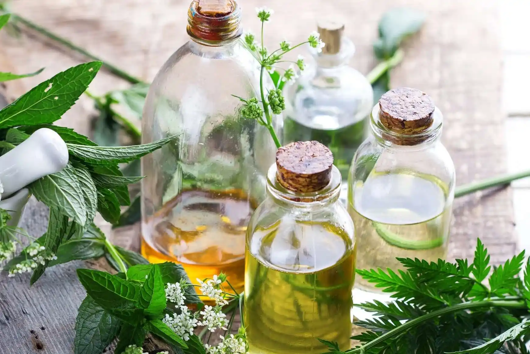 Fragrance Oils for Luxury Hotel Amenities and Guest Gifts: Your Sensory Advantage 2 Fragrance Oils for Luxury Hotel Amenities and Guest Gifts Your Sensory Advantage 2