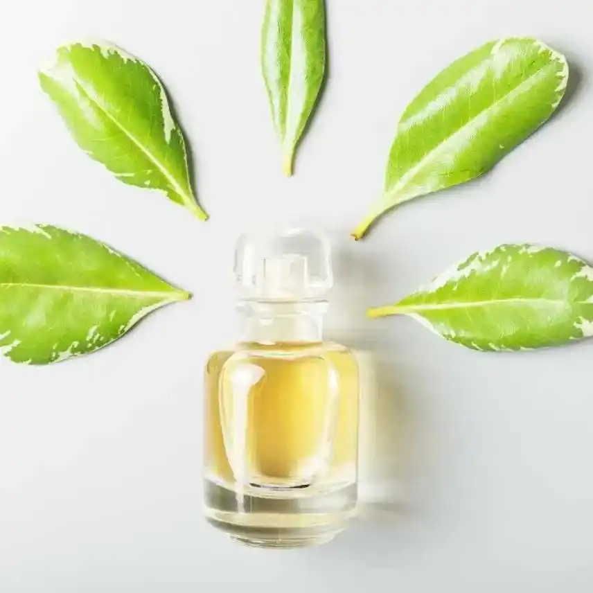 Ароматические масла для небулайзеров и систем ароматизации HVAC 1 Ароматические масла для небулайзеров и систем ароматизации HVAC 2