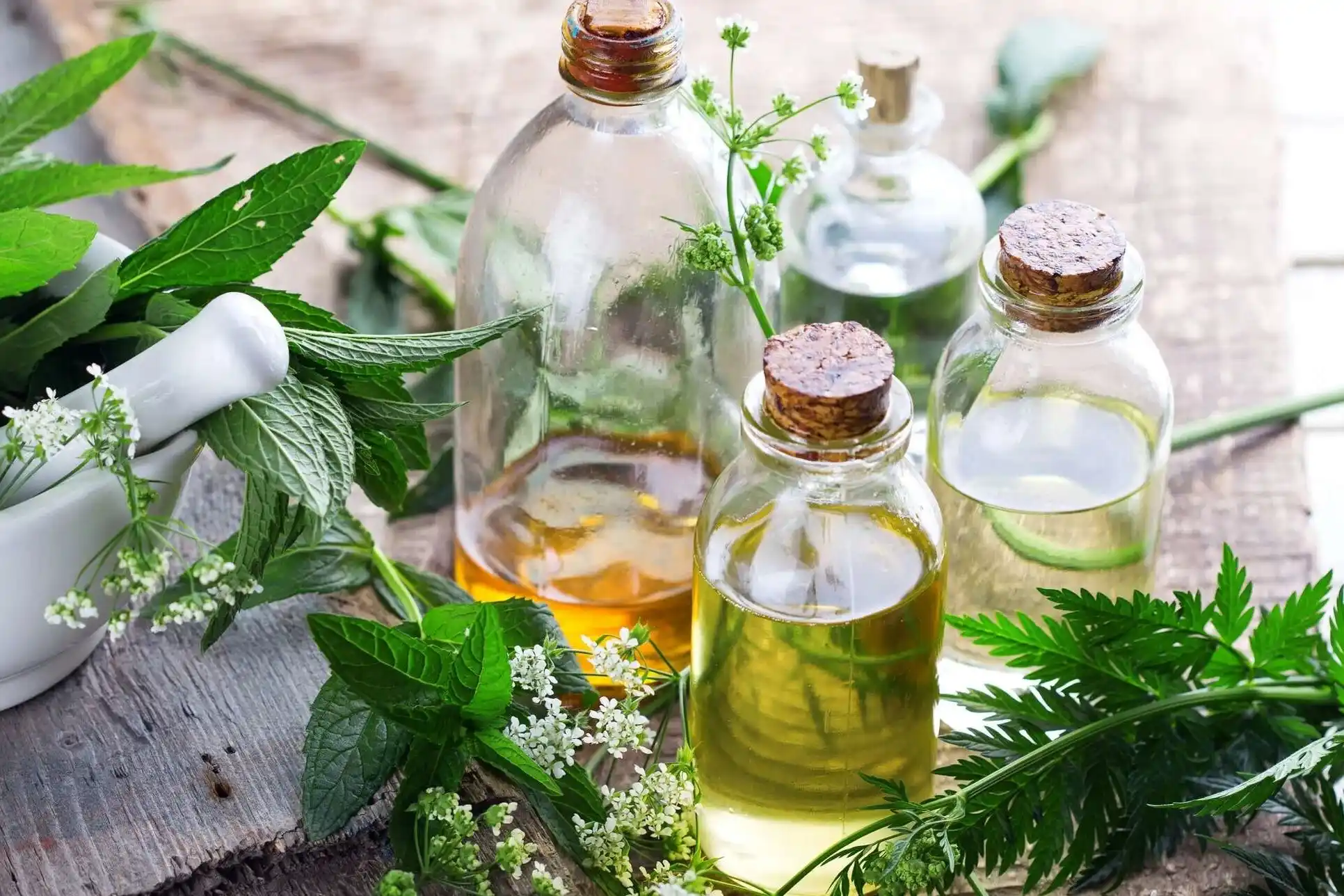 Ароматические масла и эфирные масла: Формула и соответствие требованиям 3 Ароматические масла против эфирных масел Формула соответствия 3