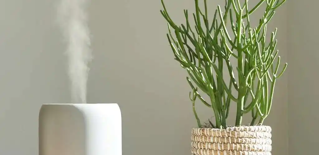 Home Care Fragrance Oils That Survive High Humidity (Diffusers, Sprays, Mops) 2 Home Care Fragrance Oils That Survive High Humidity Diffusers Sprays Mops 3