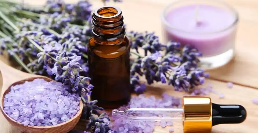 Cómo convertir a un comprador de aceite esencial en aceite de fragancia (caso de coste) 2 Cómo convertir a un comprador de aceite esencial en aceite de fragancia Coste del caso 3