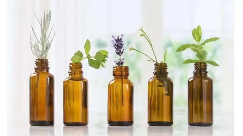 Cómo convertir a un comprador de aceite esencial en aceite de fragancia (caso de coste) 3 Cómo convertir a un comprador de aceite esencial en aceite de fragancia Coste del caso 4