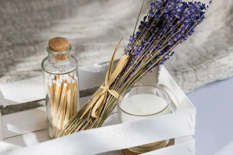 Top 10 Trending Functional Fragrances in 2026 (Odor-Control, Mood-Boosting) 3 Top 10 Trending Functional Fragrances in 2026 Odor Control Mood Boosting 1