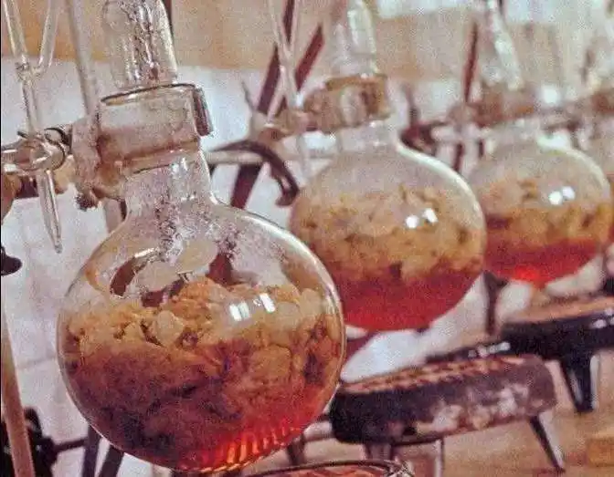 Por qué el mismo nombre y una base diferente huelen diferente 1 Por qué el mismo nombre diferente base huele diferente 2