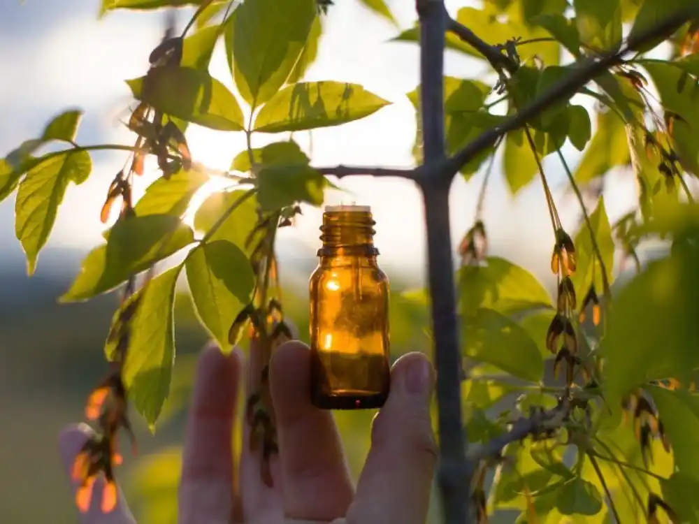 Fragrance cost breakdown: raw material swings, processing, dosage, TCO 2 Fragrance cost breakdown raw material swings, processing, dosage, TCO