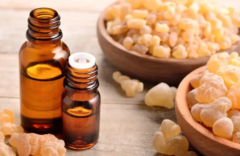 From Creative Accord to Stable Formula Breaking Down the Fragrance Development Timeline 4