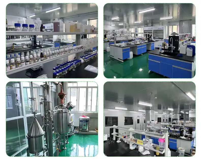 Comment choisir des huiles de parfum non troublantes pour les shampooings sans sulfate 3