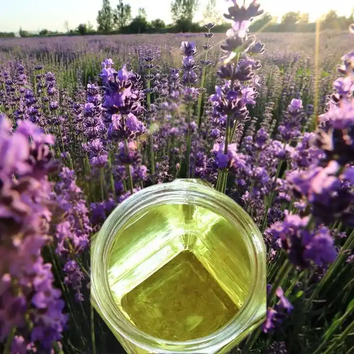 How to Write an Effective Fragrance Development Brief: Template for Brand Owners 1 How to Write an Effective Fragrance Development Brief Template for Brand Owners 2