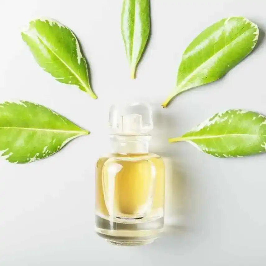 Reducing Fragrance Development Failure Rates in OEM Projects A Guide for Project Managers 1