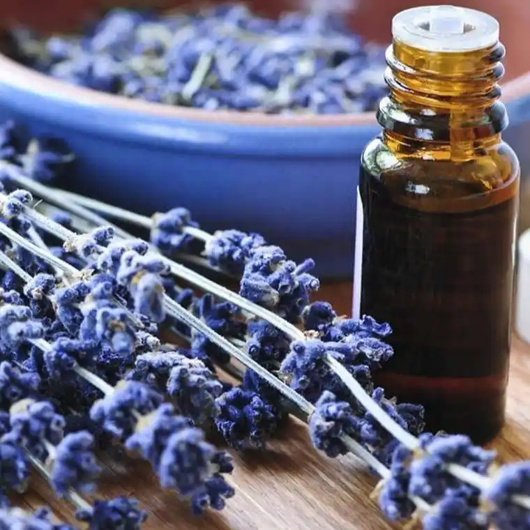 Reducing Fragrance Development Failure Rates in OEM Projects A Guide for Project Managers 4