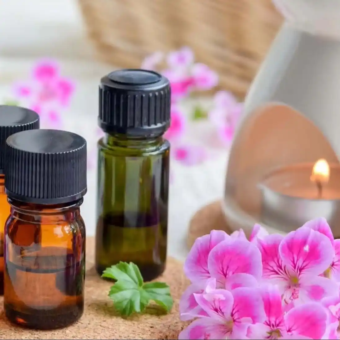 Body lotion “skin scent” direction musks, creamy, clean woods