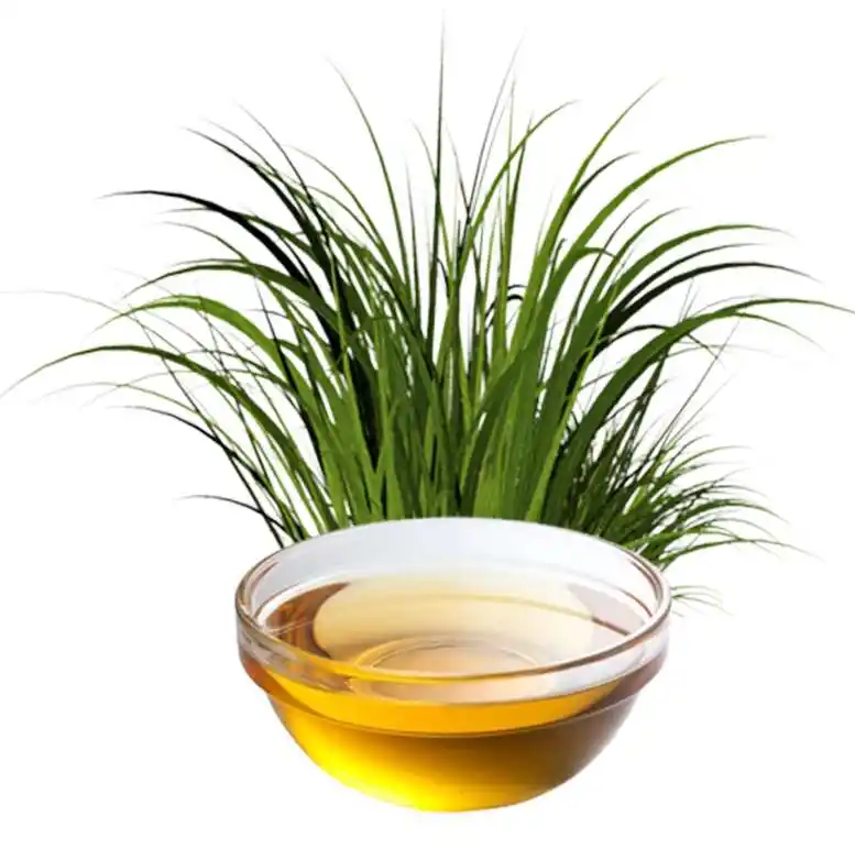 Private label scent projects end to end guide from fragrance to packaging 2