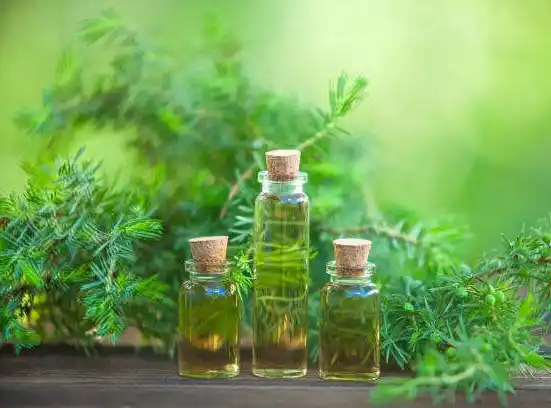 Scent replication projects improve match rate and avoid IP risks