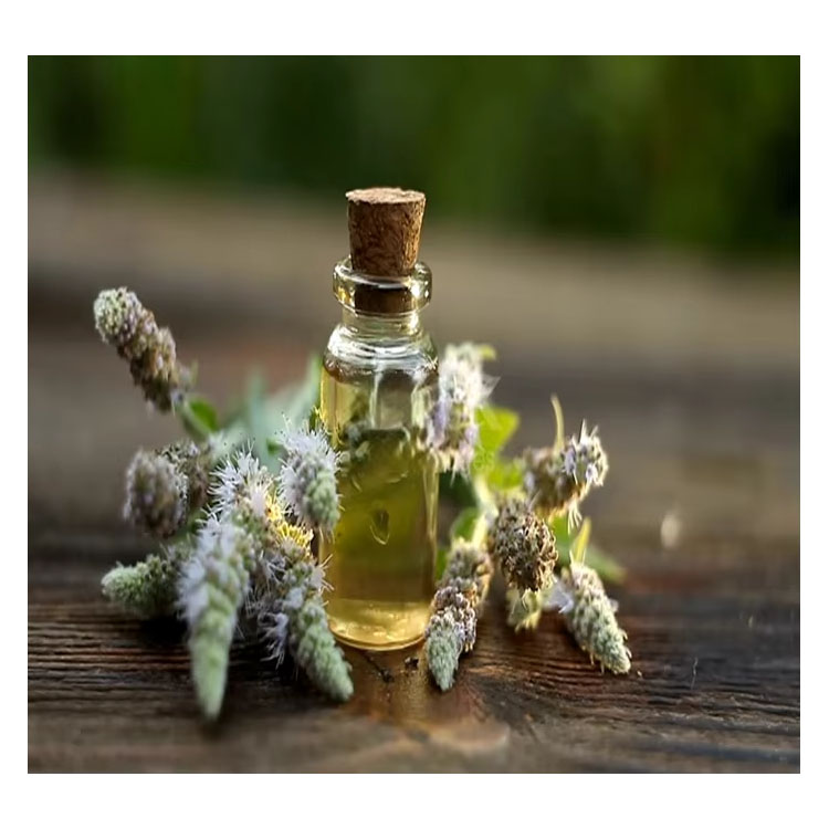 Aromas naturales para el cuidado del cabello combinaciones más seguras de cítricos, hierbas y madera