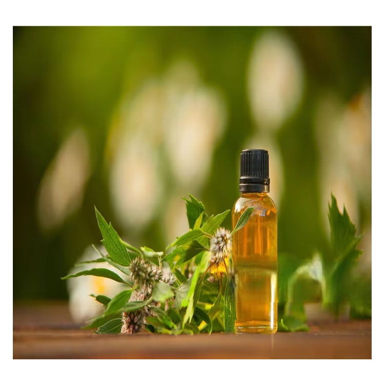 Aromas naturales para el cuidado del cabello combinaciones más seguras de cítricos, hierbas y madera