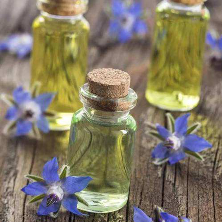 Fragrance Oil