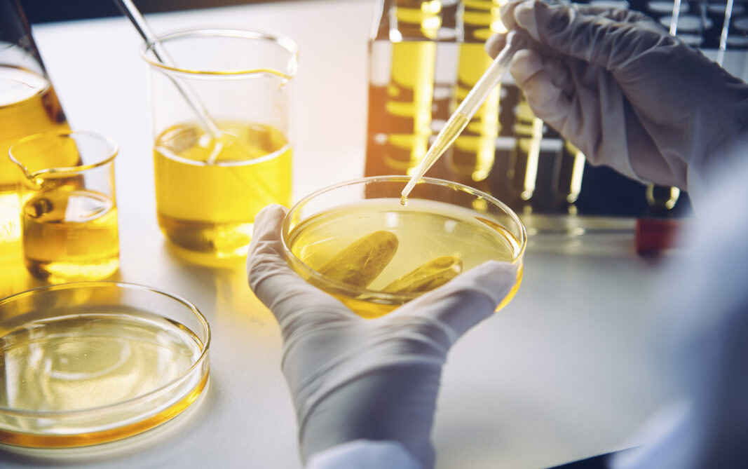 Fragrance Oil Producer & Wholesale Provider 1 Fragrance Oil Quality Control